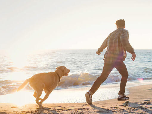 Hombre y perro corriendo en la playa