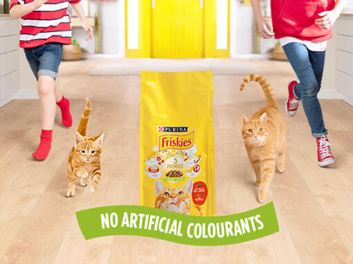 Friskies® para gatos