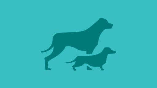 Icono de perro grande y perro pequeño