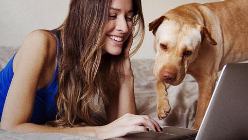 Mujer y perro en el ordenador portátil