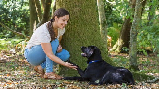 Mujer en cuclillas con perro cerca de un árbol