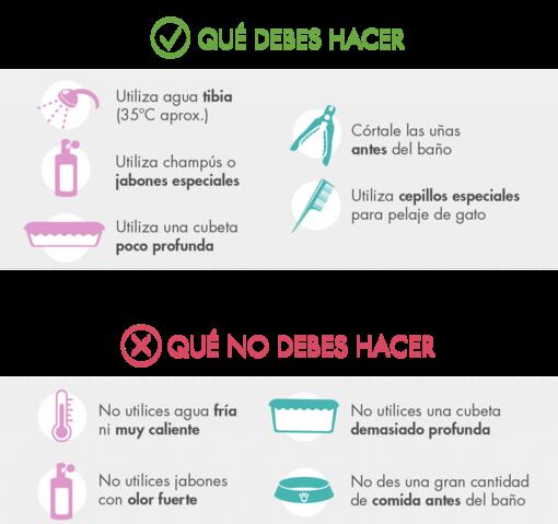 ¿Se puede bañar a un gato?
