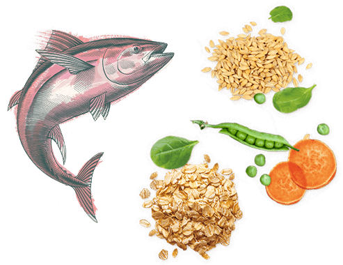 Ingredientes naturales productos Beyond®​