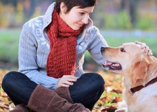 Cómo cuidar un perro senior