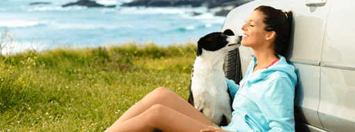 Vacaciones con tu perro: 5 consejos para pasar unos felices días