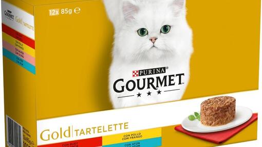 gato comida gourmet purina