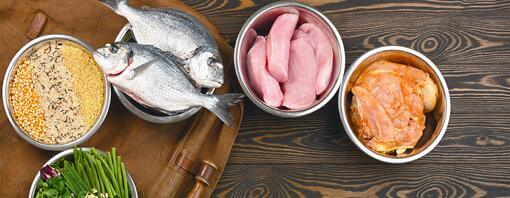 Pienso con salmón, con cordero, con pollo… Tipos de pienso saludables y naturales para tu perro