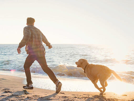 Hombre corriendo con un Labrador en la playa