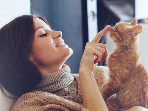 Mujer tocando la nariz de un gato atigrado