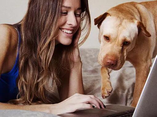 Una mujer mirando una computadora portátil con su perro