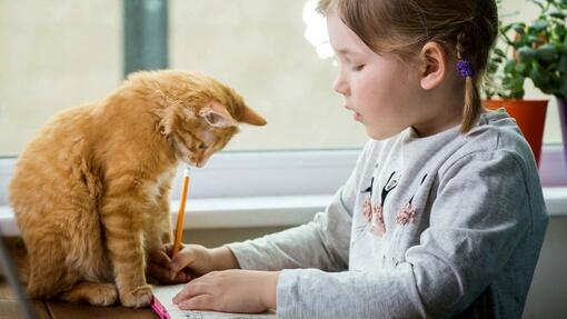 gato con niña