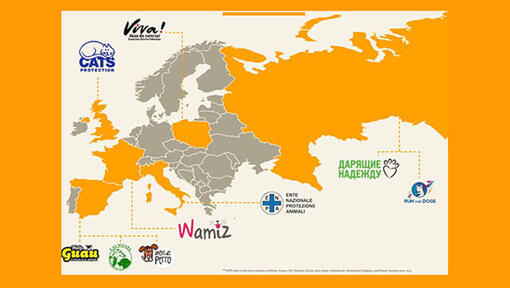 Mapa europeo con organizaciones benéficas de adopción