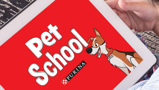 Logotipo Mascotas en las escuelas