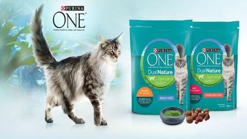 purina one productos pins