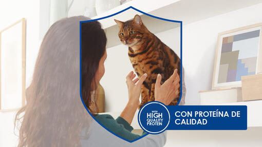 PURINA® CAT CHOW®  con proteína de calidad