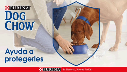 Banner PURINA® DOG CHOW®