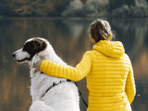 Mujer sentada con su perro