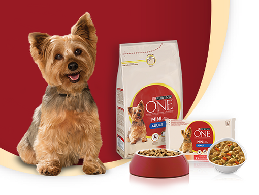 PURINA ONE Mini