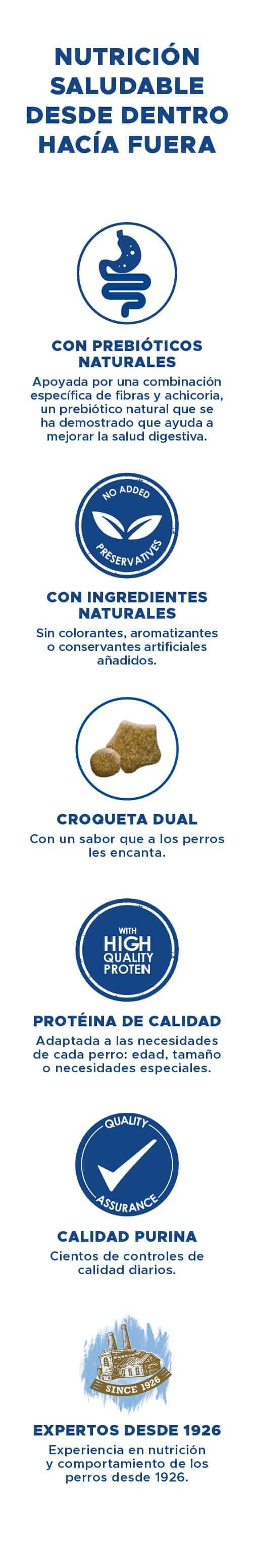 Nutrición saludable PURINA® DOG CHOW®  desde dentro hacía fuera