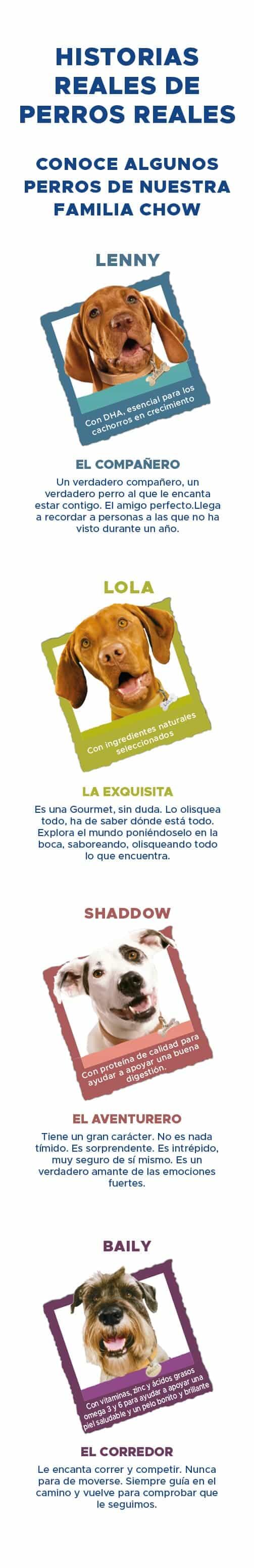 Historias reales de perros PURINA® DOG CHOW®
