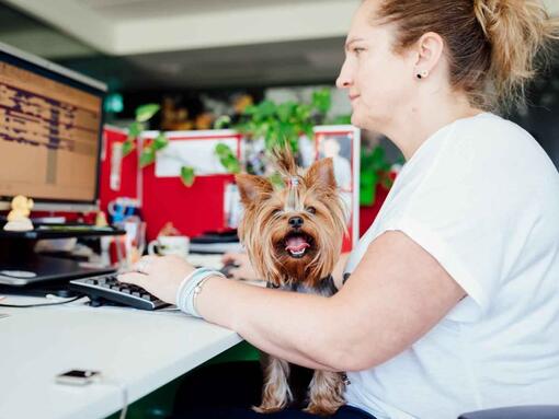 mujer con perro en la oficina