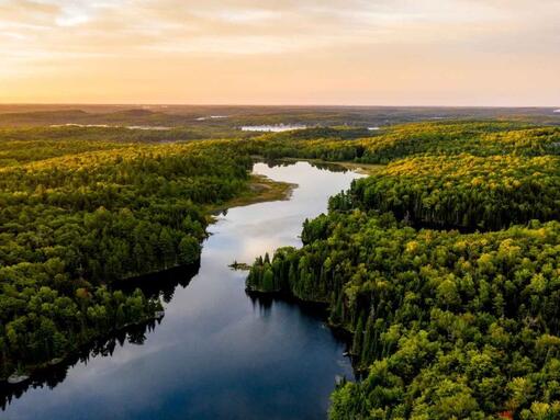 vista aérea de un bosque y un río