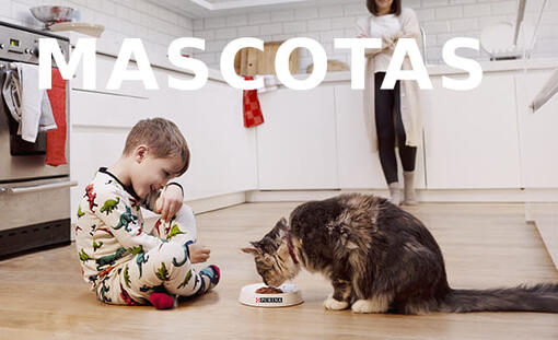 niño alimentando a un gato en la cocina