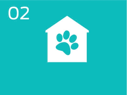 Promover la adopción de gatos y perros a través de alianzas