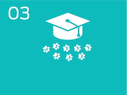 Programas que promueven la tenencia responsable de perros y gatos