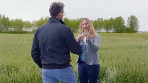 gente en el campo