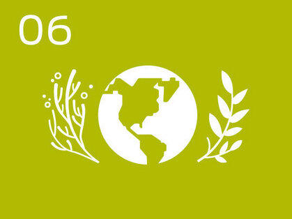 Promover la regeneración de los ecosistemas en tierra y mar