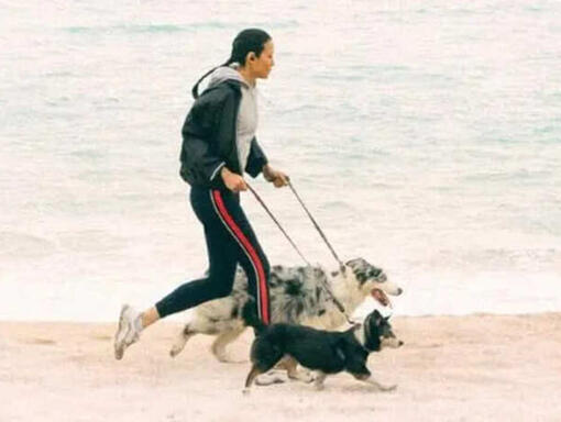 Un hombre y un perro corren por la orilla.