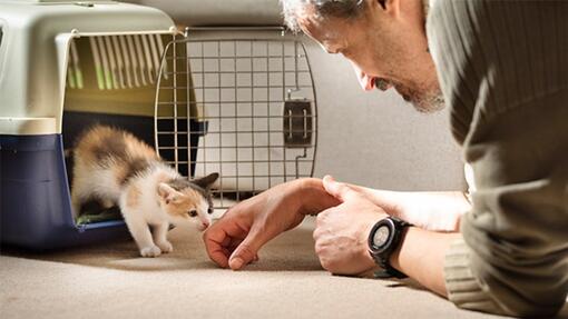 un hombre con un gato