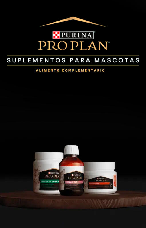 Suplementos para gato de PRO PLAN®. Dales más para que disfruten al máximo