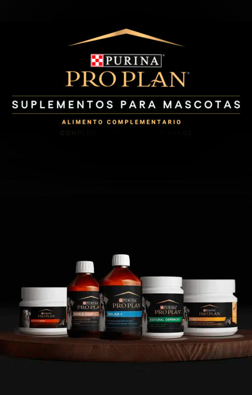 Suplementos para perro de PRO PLAN®. Dales más para que disfruten al máximo