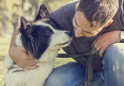 ¿Qué raza de perro es la adecuada para mí? 