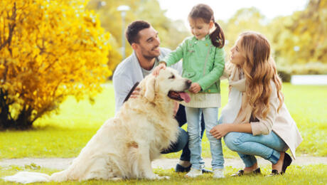 Beneficios de cuidar de un perro