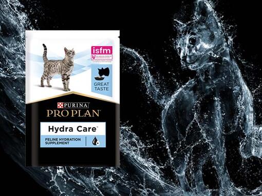 Gato con producto Purina® Pro Plan® Hydracare