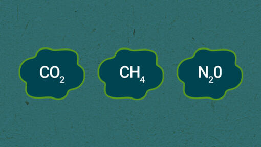 ¿Qué son los gases de efecto invernadero (GEI)?