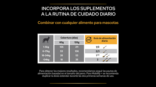 Cómo favorecer / ayudar a la movilidad de tu perro