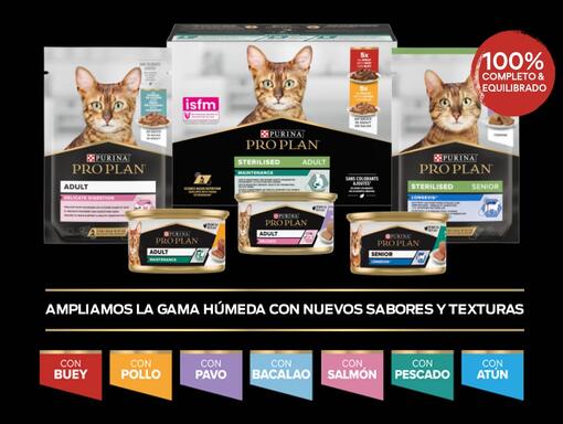 Descubre la gama húmeda PURINA® PRO PLAN® Gato