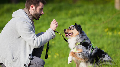 Owner with dog