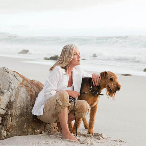Terrier de Airedale en la playa con una persona.