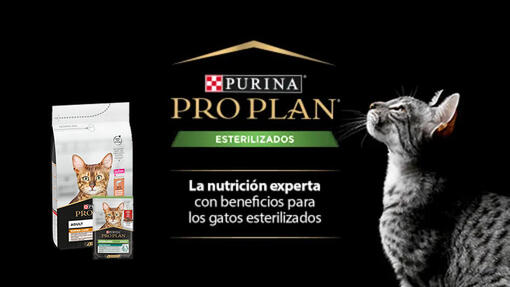 ProPlan nutricion experta