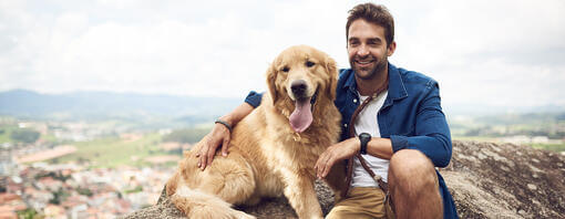 Perro sentado en la montaña con el hombre