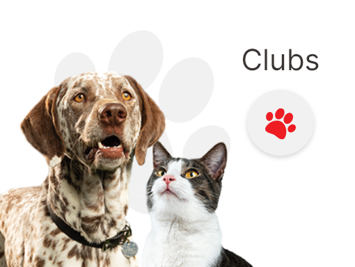 clubs