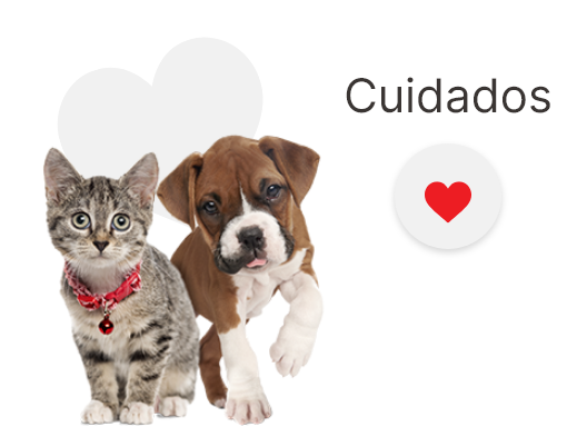 cuidados
