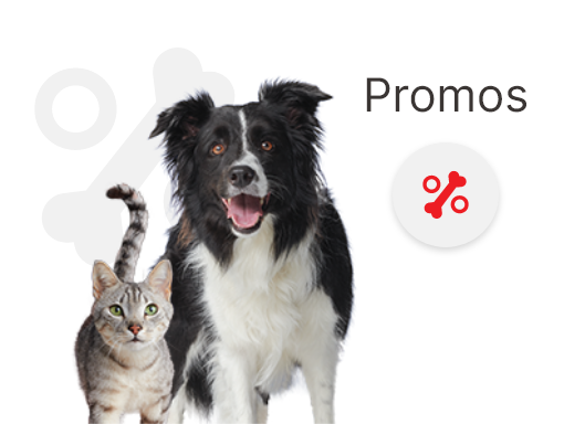 promo