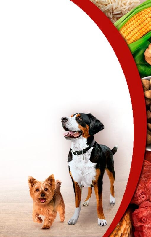Descubre Purina ONE®