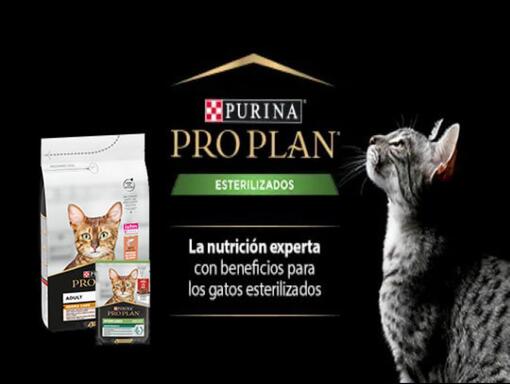 Descubre PURINA® PRO PLAN® ESTERILIZADOS